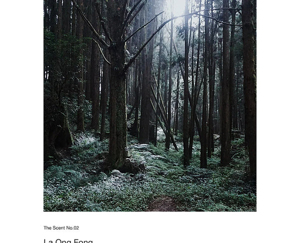 Sedar.W | The Scent No.02 : La Ong Fong Soy Candle