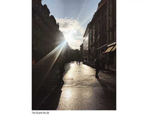 Sedar.W | The Scent No.05 : Roberto Soy Candle