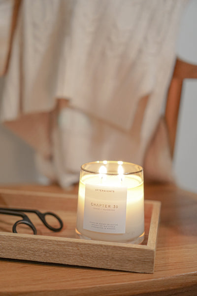 Chapter 30 第三十章