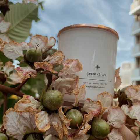 Signature Collection: Green Olives Soy Candle | 橄欖大豆香氛蠟燭