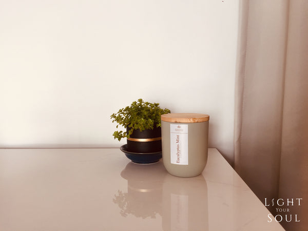 Classic Limited Collection: Eucalyptus Mint Soy Candle | 抗疫尤加利薄荷大豆香氛蠟燭