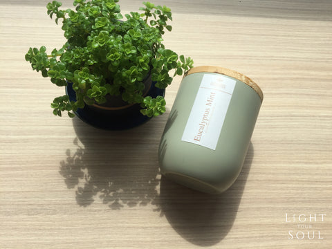 Classic Limited Collection: Eucalyptus Mint Soy Candle | 抗疫尤加利薄荷大豆香氛蠟燭