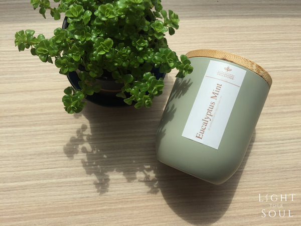 Classic Limited Collection: Eucalyptus Mint Soy Candle | 抗疫尤加利薄荷大豆香氛蠟燭