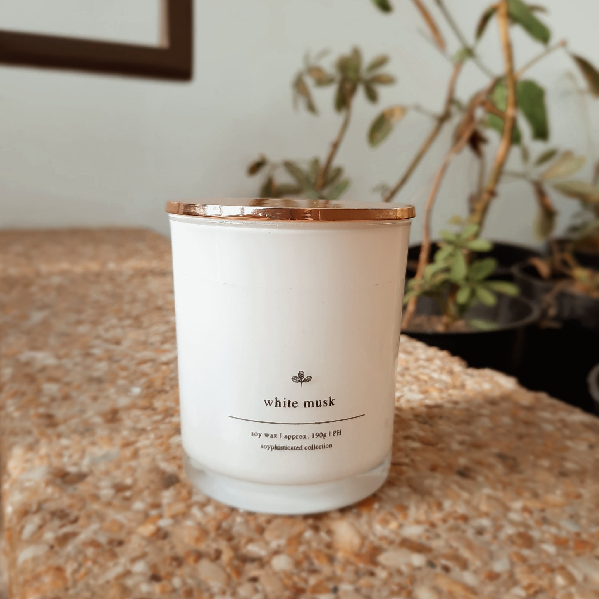 Signature Collection: White Musk Soy Candle | 白麝香大豆香氛蠟燭