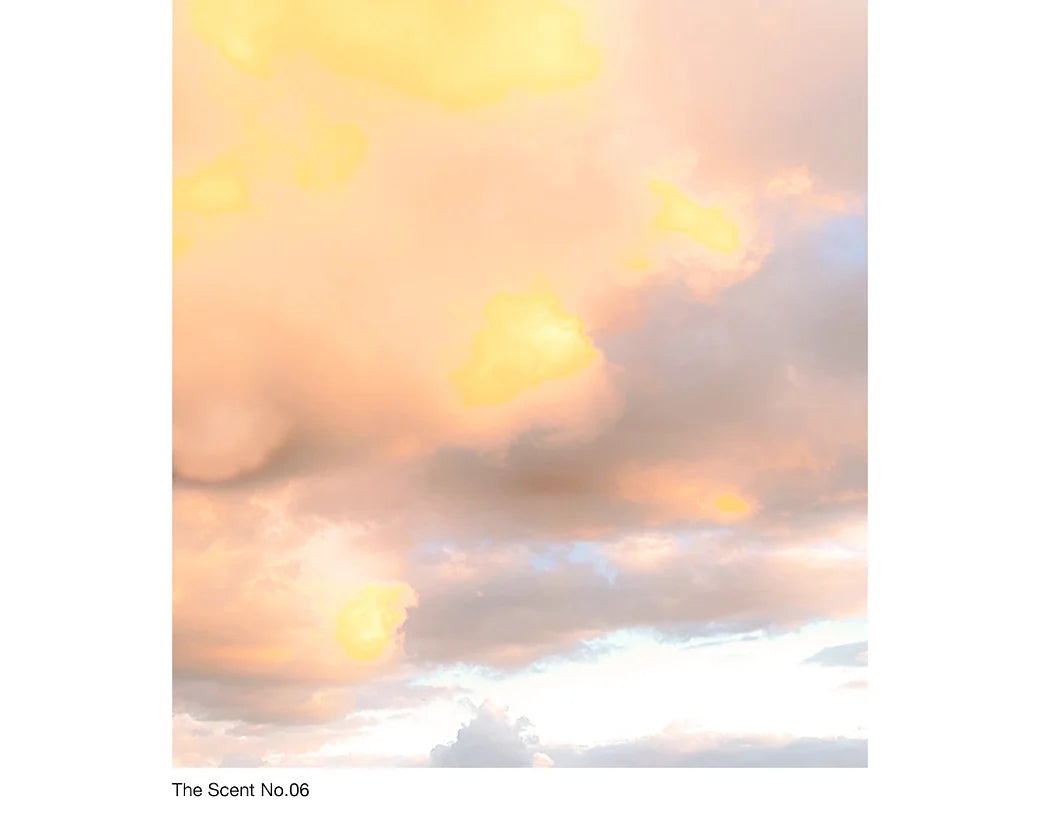 Sedar.W | The Scent No.06 : Vanilla Sky Soy Candle